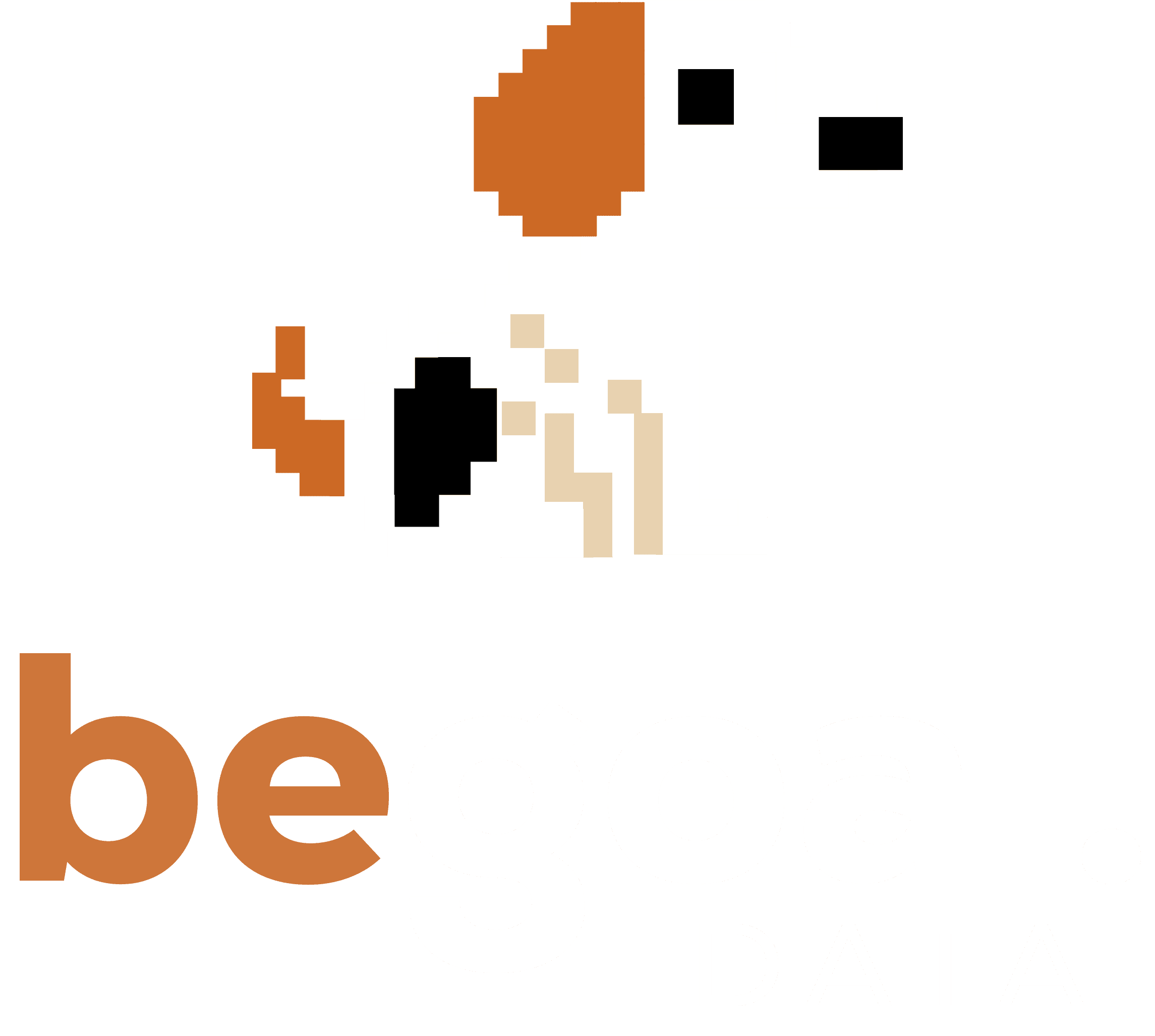 BeGoal Data